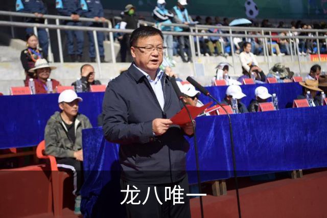 龙八唯一公司简介
